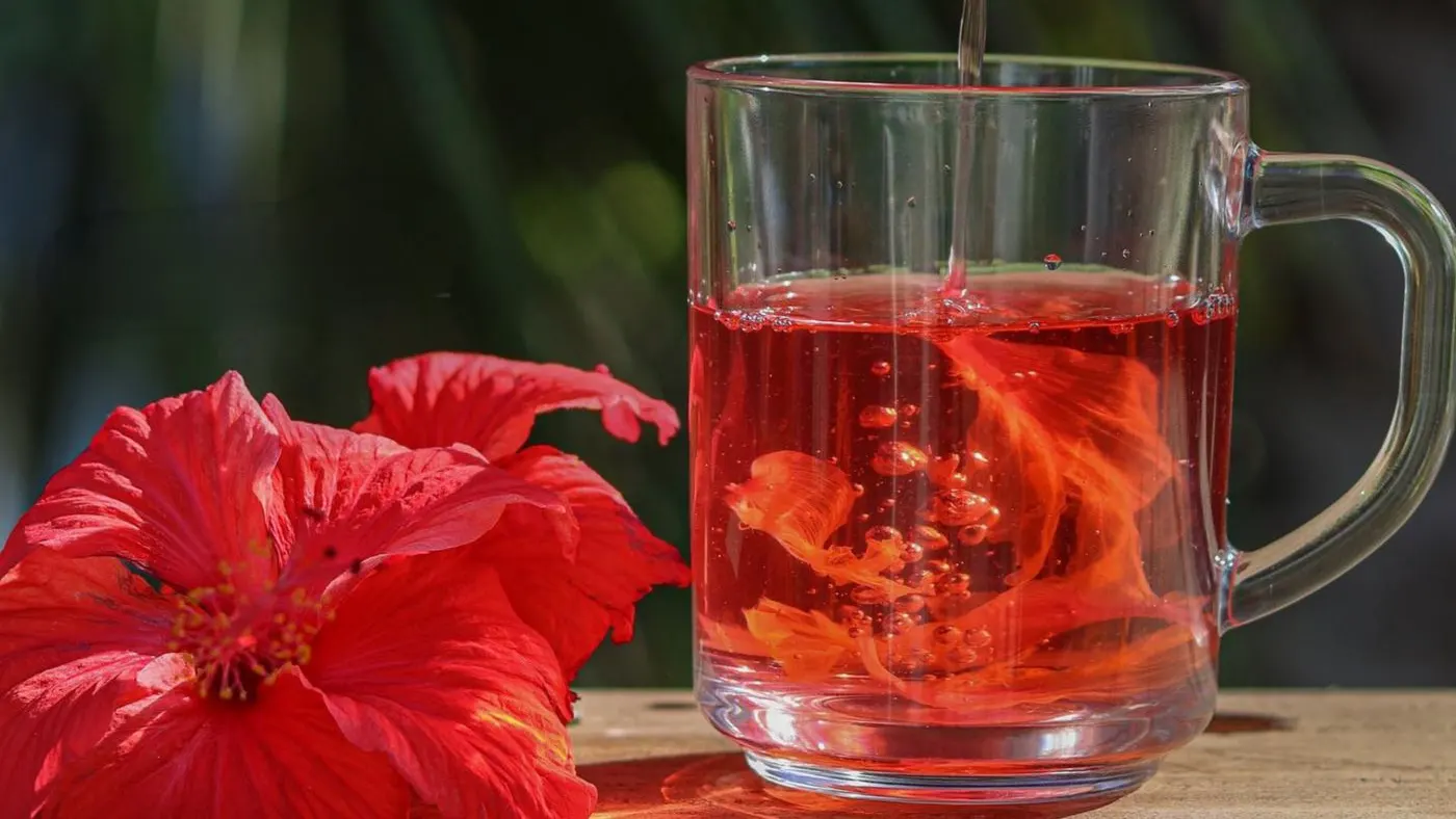 Taza de vidrio con infusión roja de flor de jamaica mientras se vierte agua caliente, con una flor de hibisco roja al lado sobre una mesa de madera